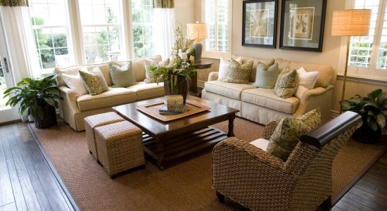 Commercial Painting living room